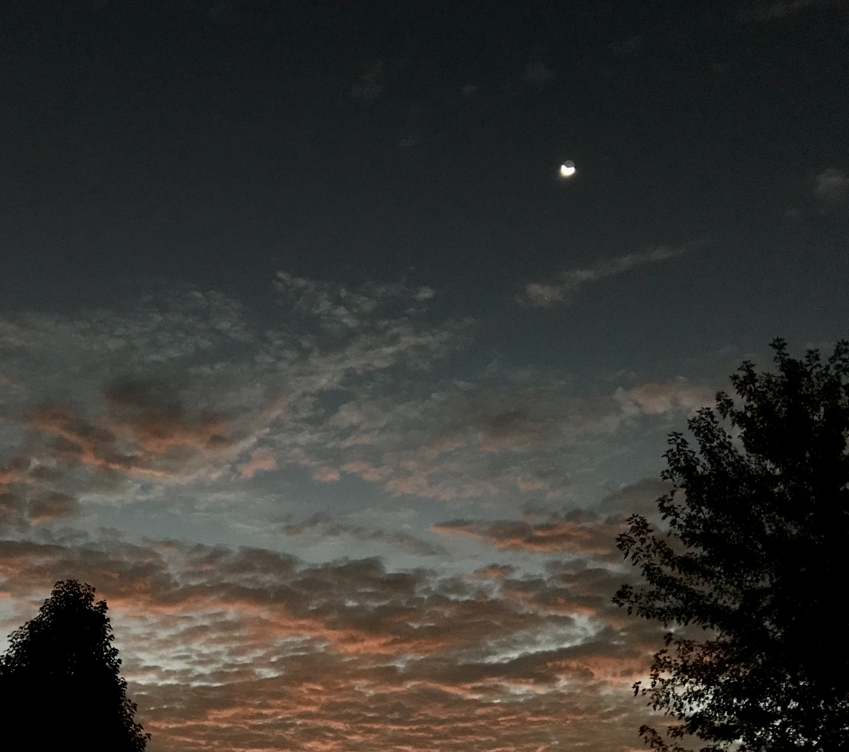 4AD62842-23EE-43C1-B667-EC4BACF29B03