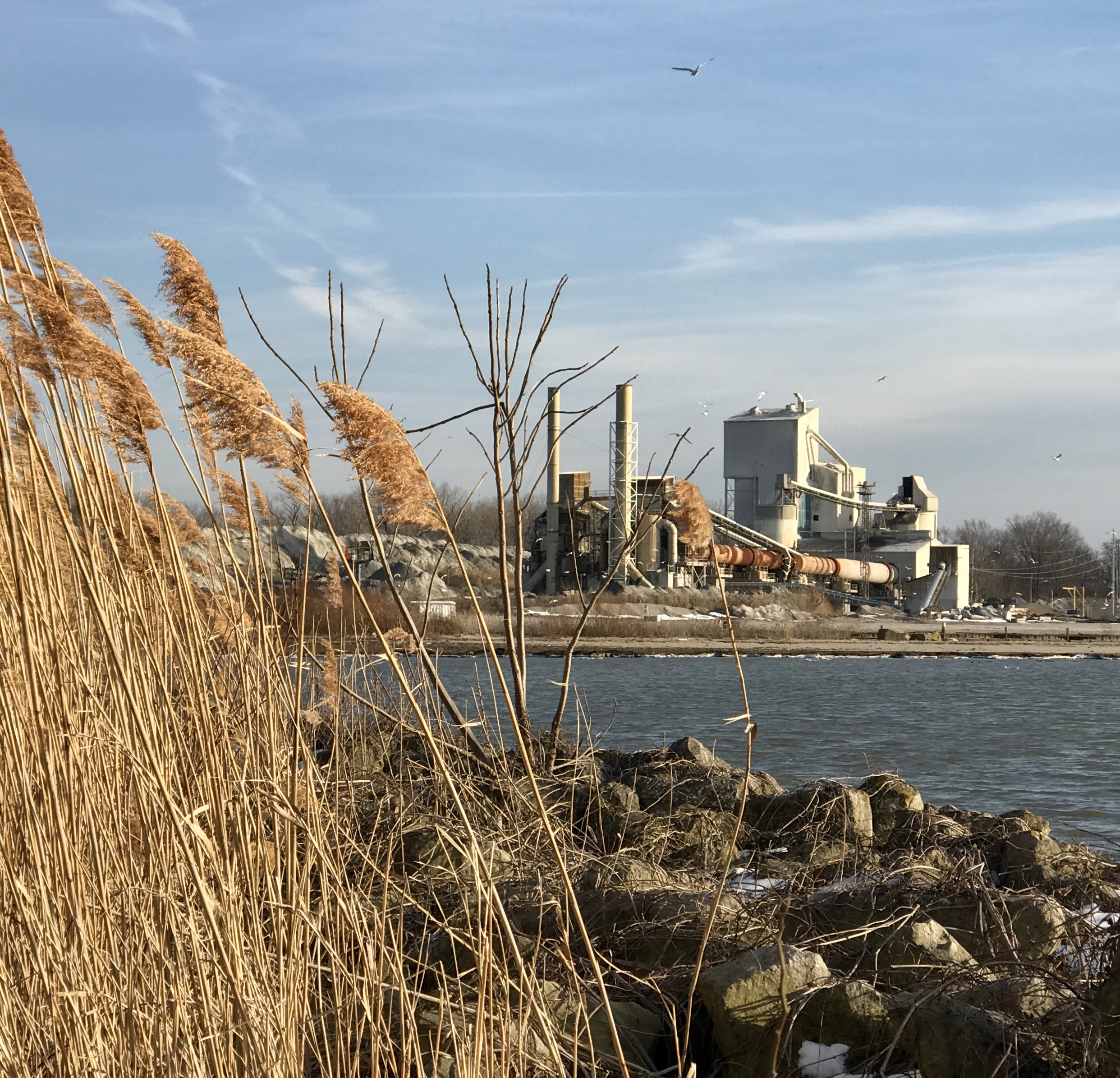 37E74F8C-27D6-4EB6-8B55-77C7936C1F10