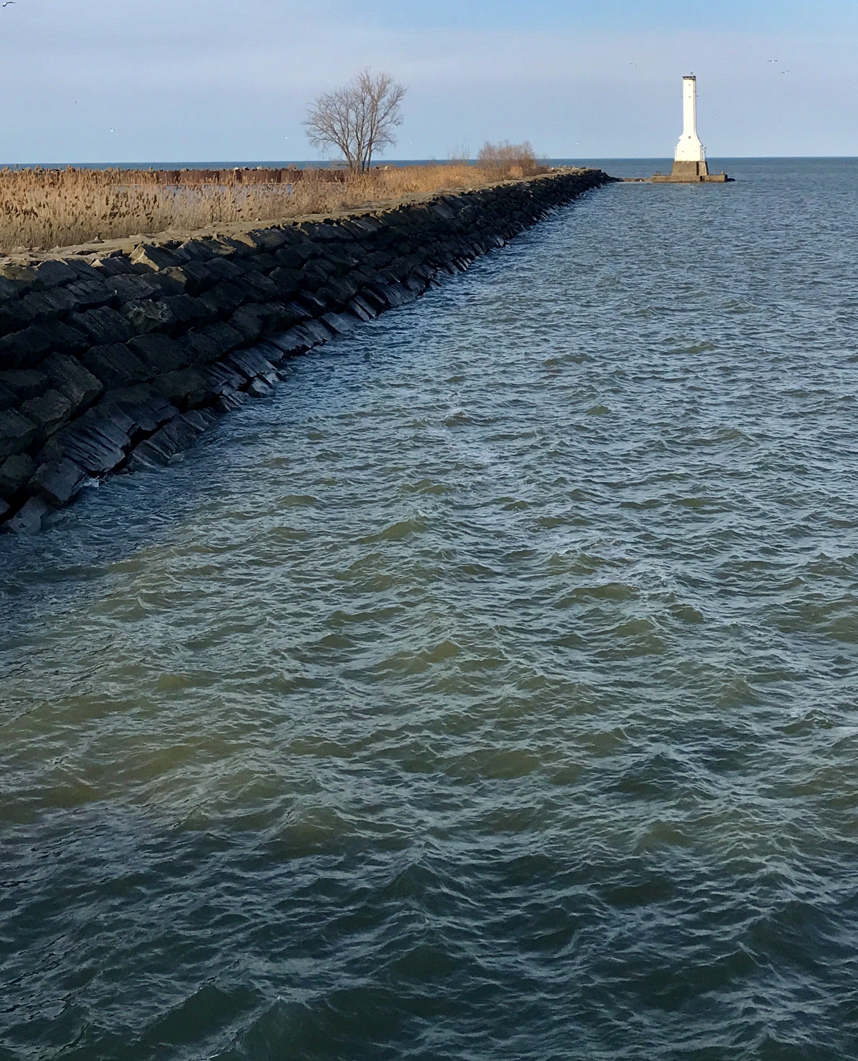 91E6538A-1216-4CB6-A9D0-7D62CD5B9425